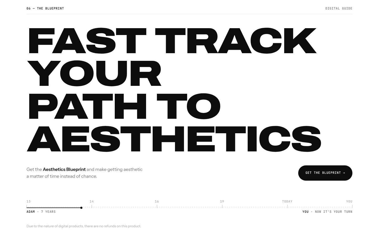 The «Fast track your path to aesthetics» closing section with the buy button